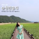 순천 순천만습지 대자연을 느끼다 (용산전망대까지 오른 후기)
