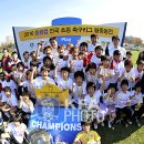 부양초등학교 이미지