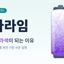 보라색라임