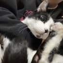 니하오 중국어 | 칭다오장하오니하오따자하오