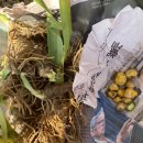 행주농장 이미지