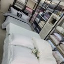 청랑바이오 이미지