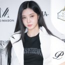 다연 이미지