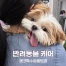 에코펫케어 이미지