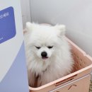 성안길포토시그니처 이미지