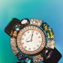 알레그라 이미지