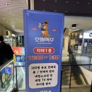 [24.11.16] 노량진 수산시장 근처 2차로 가기 좋은 호멜맥주 내돈내먹 찐후기