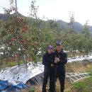 월광농원 이미지