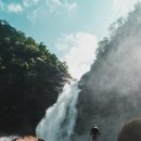 벌마들로 이미지