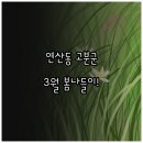 배산초등 | 부산 연산동 고분군 3월 방문 후기 및 봄나들이 체크리스트