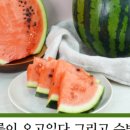 명품농장 네이버블로그