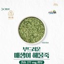 해성인터내셔널 머니투데이