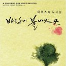 바람이 불어오는 곳 이미지