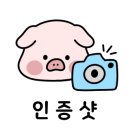 문성한우정육식당