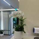 휴고든정형외과의원 이미지