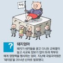 돼지엄마 동아일보
