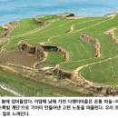 파르라니