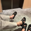 우와호와성 | 마쓰야마 2박3일 :: day 1 (레프베셀 , 마쓰야마성, 모토야마, 우마카몬 하카타 )