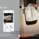 고라이프