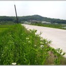 호법면체육공원 이미지