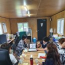 주식회사 제주펫 이미지