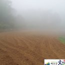 두란농장 이미지