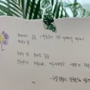 숲에서자라는아이들 이미지