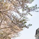 숙명여자대학교 일반대학원 이미지