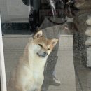 [25.04-2] 일상
