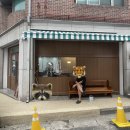 비데이바버샵 네이버블로그