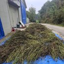 덕인축사 이미지