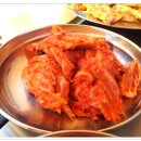용봉산캠핑장 Daum카페