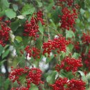 인동 T.R 이미지