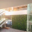 (주)에프스포렉스 이미지