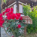 신선한옥펜션 이미지