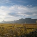 수남초교 이미지