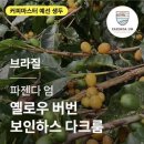 파젠다 - 용산구 | 파젠다