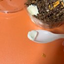 요거트 아이스크림 도장 깨기! : 과일담은 요거트 맛집 요맛 천안 신부점