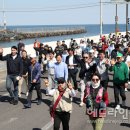 탑동 테마거리 이미지