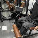 상아헬스 | 노원역 헬스 에이블짐 노원역점 시원쌤 11~12회차 PT 후기 레그익스텐션 레터럴 디와이 로우 자세