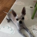 금오셀프세차장