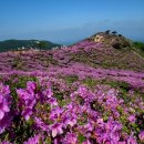 (유)한마음고속관광