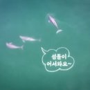 김종훈 농장 이미지