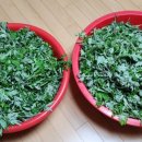 자매방앗간 이미지