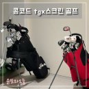 옥길스타스크린골프 | 수원 스타필드 tgx스크린골프 후기 프로레슨