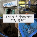 정관 열방교회 앞 | 부산 정관 실내 낚시터 착한 물고기 정관 아이와 놀 곳 정관 데이트