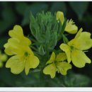 여름꽃농장 이미지