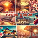 4월에 가볼만한 국내 숨은 여행지 TOP6 벚꽃 봄 감성 여행