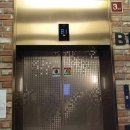 경기도 수원시 영통구 광교호수공원로 이미지