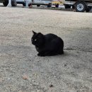 욱이네민박 | 포항 나들이 칠포항 낚시 포인트 영일만 북파랑길